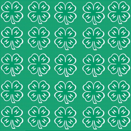 4-H Clovers Scrapbook Paper