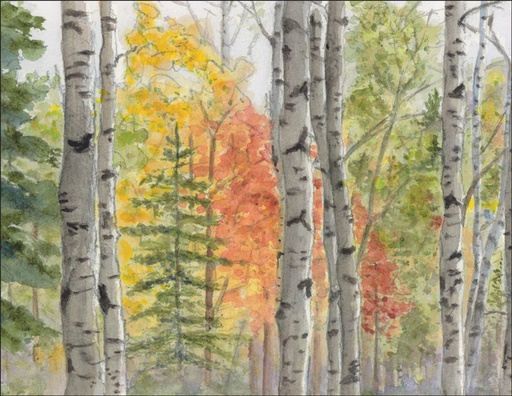 4.25 x 5.5 Forest Trees Notes