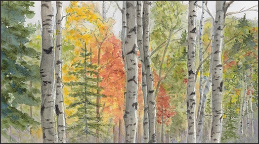 Wooded Forest Pocket Planner