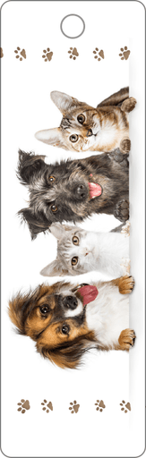 BK160 - Bookmarks