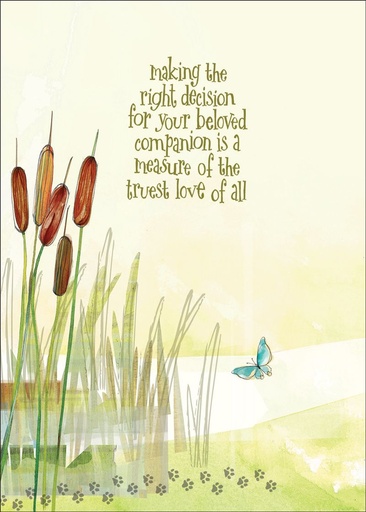 [PR417] PR417 - Pet Euthanasia Sympathy