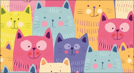 PP258 - 2 Year Pocket Calendars