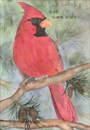 [CG705] CG705 - Christmas Cards