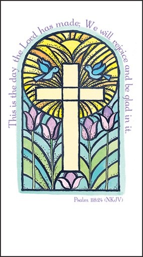LPP184C - 2 Year Pocket Calendar